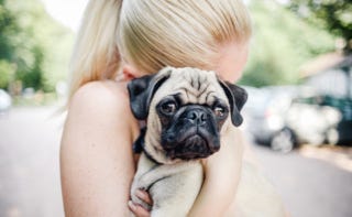 犬にとって あなたのハグはうれしくない