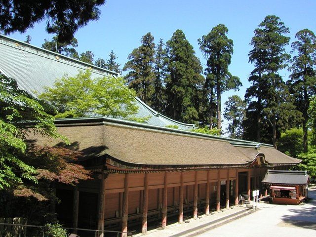 Roof, Architecture, Building, Japanese architecture, Botany, House, Chinese architecture, Tree, Temple, Shrine, 