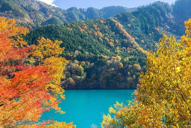 Nature, Natural landscape, Tree, Leaf, Lake, Wilderness, Autumn, Mountain, Temperate broadleaf and mixed forest, Nature reserve, 