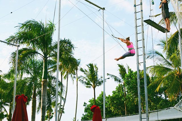 Tree, Palm tree, Performance, Plant, Arecales, Vacation, Event, Pole, Recreation, Performing arts, 