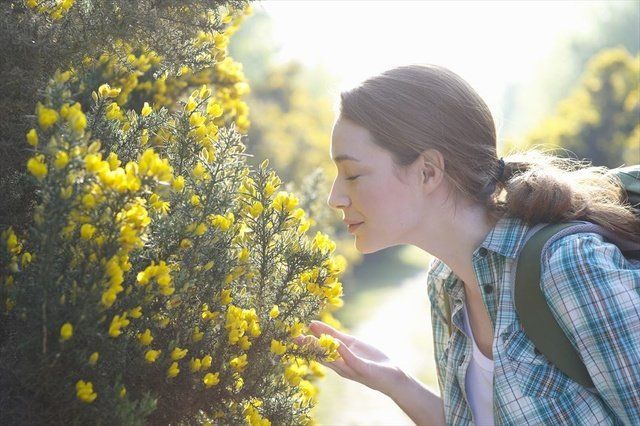 People in nature, Yellow, Flower, Plant, Botany, Spring, Smile, Grass, Sunlight, Wildflower, 