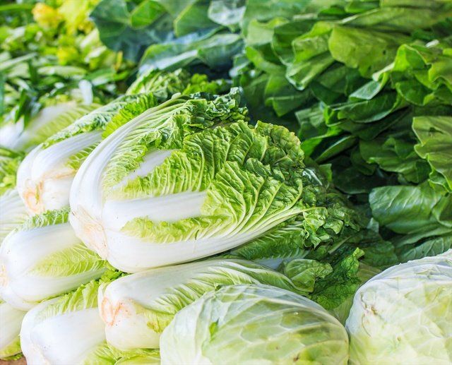 Leaf vegetable, Vegetable, Food, Iceburg lettuce, Cruciferous vegetables, Savoy cabbage, Cabbage, Lettuce, Romaine lettuce, Plant, 