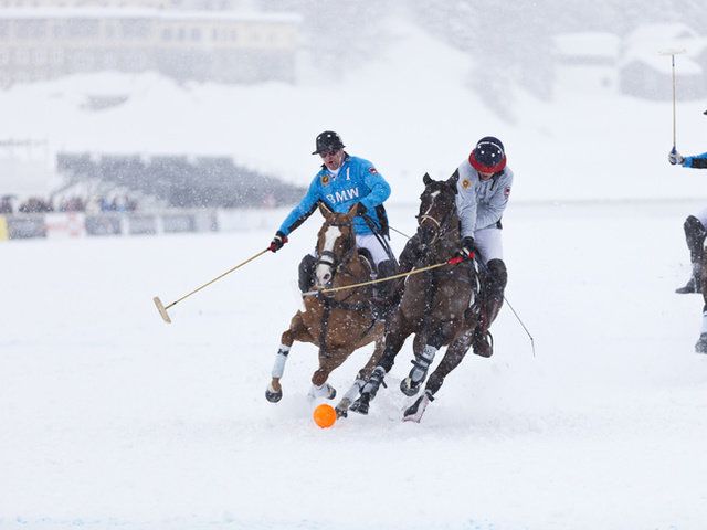 Skijoring, Horse, Snow, Rein, Stick and Ball Sports, Animal sports, Halter, Polo, Stick and Ball Games, Bridle, 