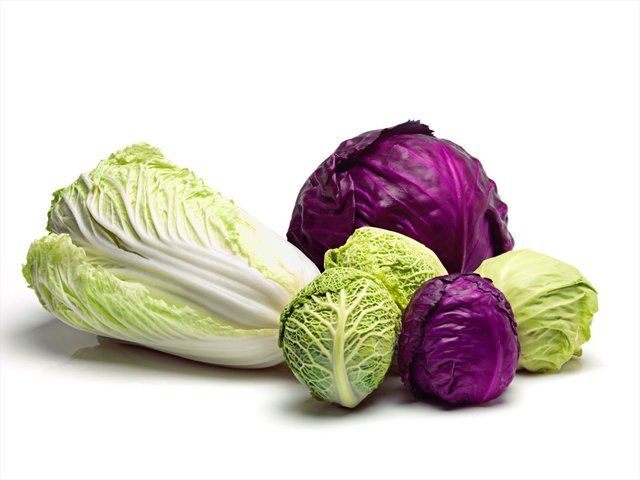 Cabbage, Vegetable, Leaf vegetable, Food, wild cabbage, Savoy cabbage, Cruciferous vegetables, Plant, Red leaf lettuce, Produce, 