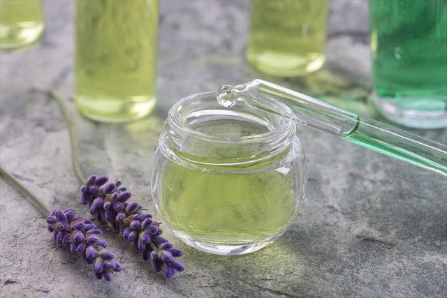 Lavender, Plant, Glass, Bottle, Glass bottle, Flower, Mason jar, 