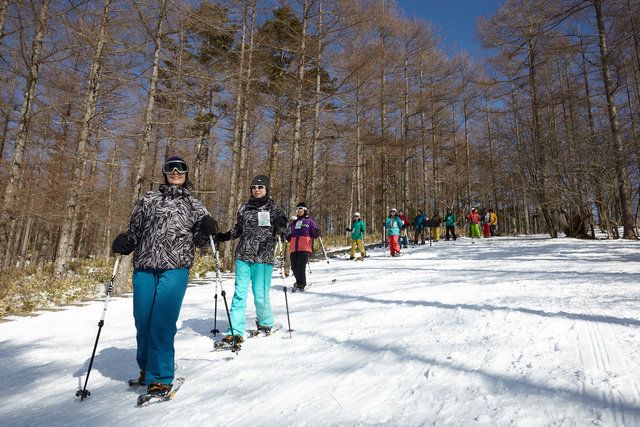Snow, Winter, Outdoor recreation, Recreation, Winter sport, Footwear, Tree, Nordic skiing, Ski, Cross-country skiing, 