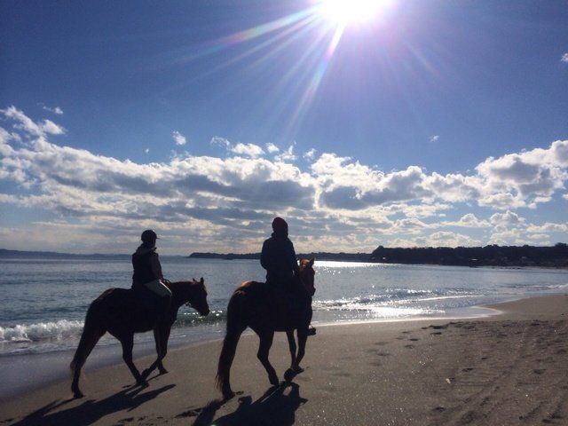 Horse, Sky, Cloud, Trail riding, Equestrianism, Beach, Ocean, Recreation, Sea, Morning, 