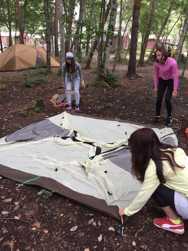 Tree, Tent, Leaf, Camping, Soil, Recreation, Leisure, Table, Adaptation, Play, 