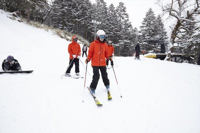 Snow, Skiing, Ski, Winter sport, Winter, Ski Equipment, Outdoor recreation, Recreation, Skier, Cross-country skiing, 