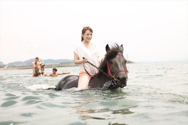 Horse, Fun, Bridle, Recreation, Vacation, Rein, Equestrianism, Sea, Stallion, Photography, 