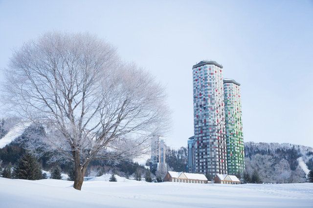 Snow, Winter, Sky, Freezing, Tree, Skyscraper, Architecture, Metropolitan area, Tower block, City, 