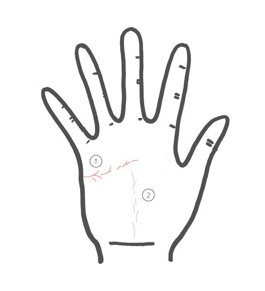 Finger, Skin, Line, Thumb, Personal protective equipment, Gesture, Wrist, Drawing, Sign language, 
