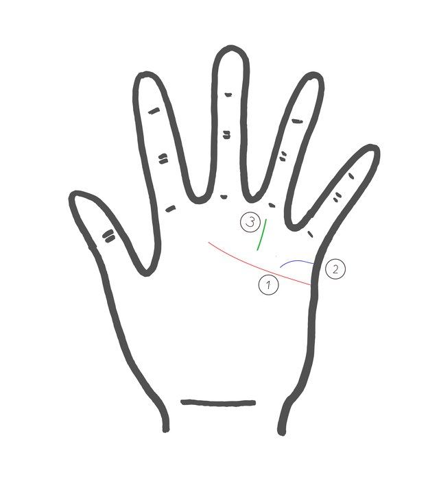 Finger, Line, Thumb, Wrist, Gesture, Sports gear, Drawing, Sign language, Illustration, Line art, 