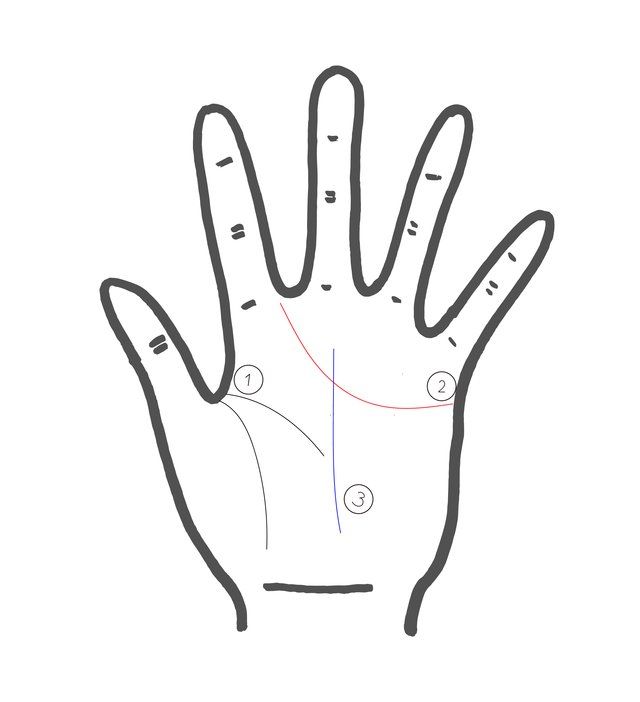 Finger, Hand, Line, Gesture, Line art, Personal protective equipment, Thumb, 