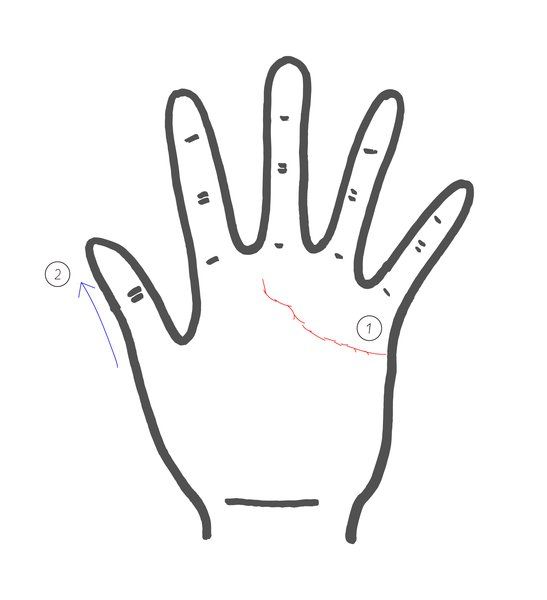 Finger, Hand, Line, Gesture, Line art, Thumb, Illustration, 
