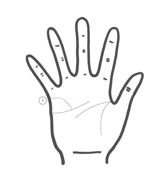 Finger, Hand, Line, Line art, Gesture, Thumb, Personal protective equipment, Sign language, Coloring book, Illustration, 