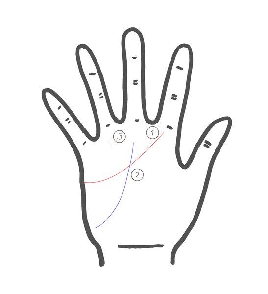 Hand, Finger, Line, Glove, Gesture, Personal protective equipment, Line art, 