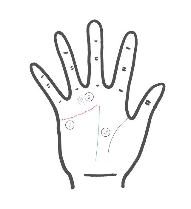 Hand, Finger, Line, Gesture, Line art, Glove, Personal protective equipment, 