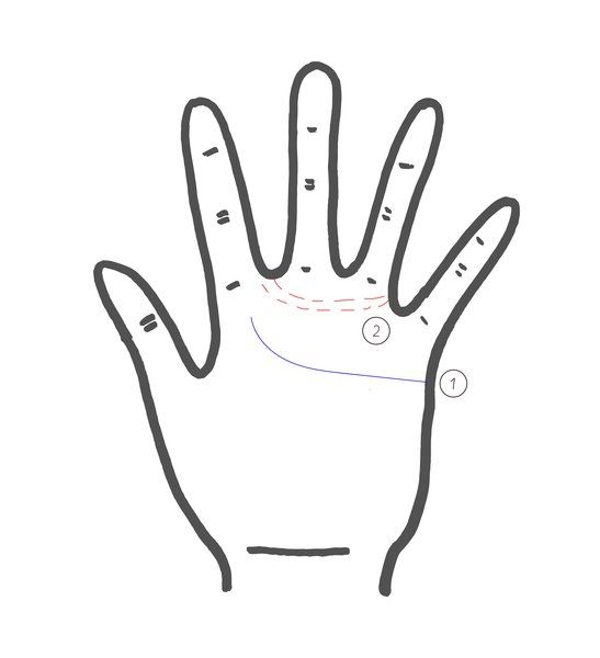 Finger, Hand, Line, Line art, Gesture, Coloring book, Thumb, Illustration, 