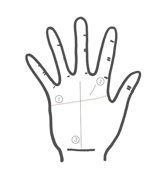 Hand, Finger, Line, Glove, Personal protective equipment, Gesture, 