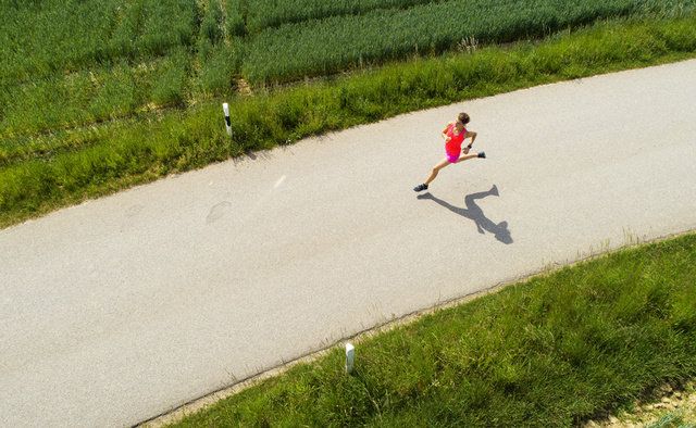 Grass, Road, Asphalt, Recreation, Tree, Infrastructure, Landscape, Leisure, Plant, Photography, 