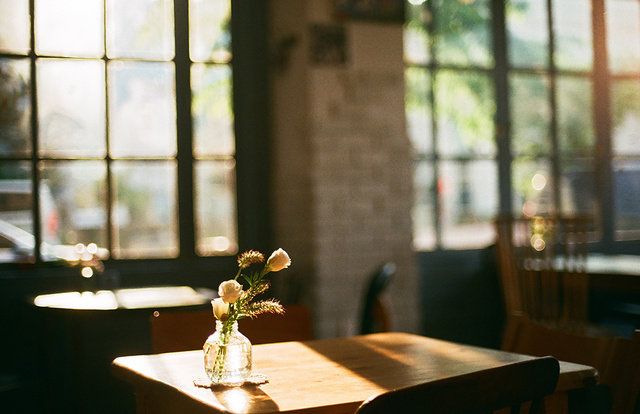 Restaurant, Room, Window, Table, Yellow, Leaf, Glass, Interior design, Furniture, Sunlight, 