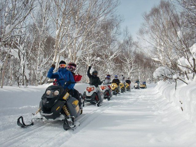 Snow, Winter, Vehicle, Winter sport, Snowmobile, Freezing, Sled, Recreation, Fun, Tree, 