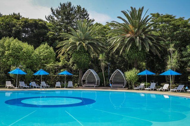 Swimming pool, Resort, Leisure, Vacation, Property, Palm tree, Tree, Resort town, Sky, Real estate, 