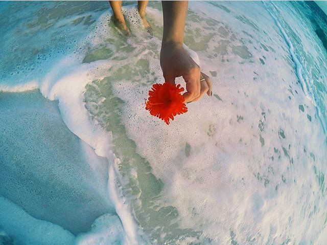 Water, Red, Summer, Ocean, Photography, Wave, Sea, Vacation, Skimboarding, Plant, 