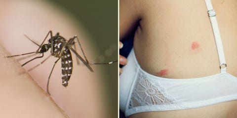 Unless You're Using 1 of These 6 Bug Repellants, You're Basically Asking for Zika