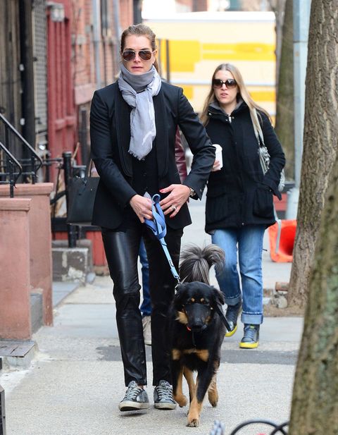 Celebrities Walking Their Dogs Photos - Celebrity Dog-Walking Outfits