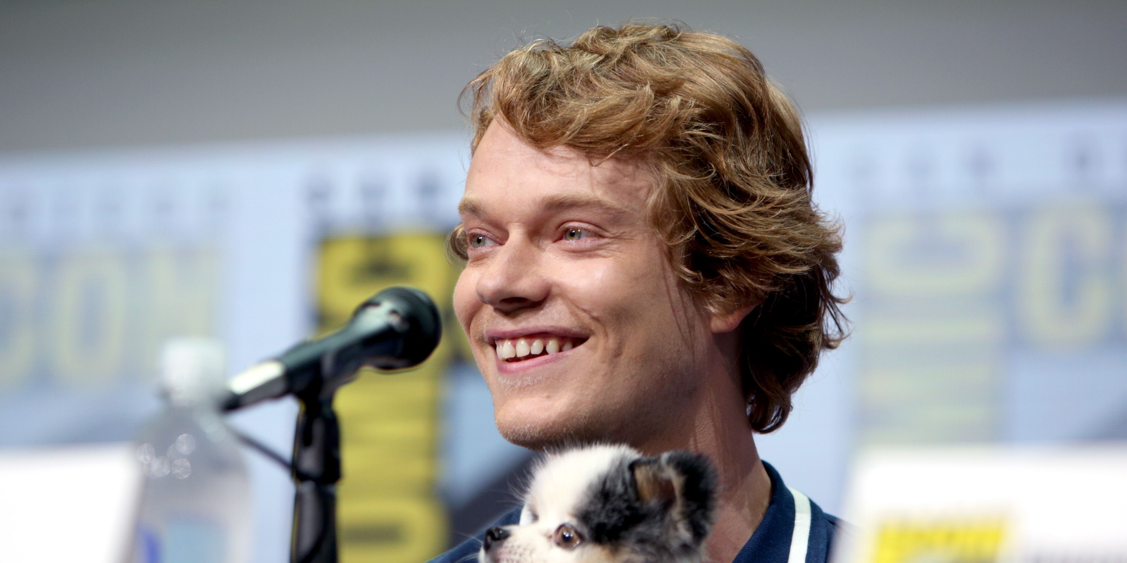 Alfie Allen cute