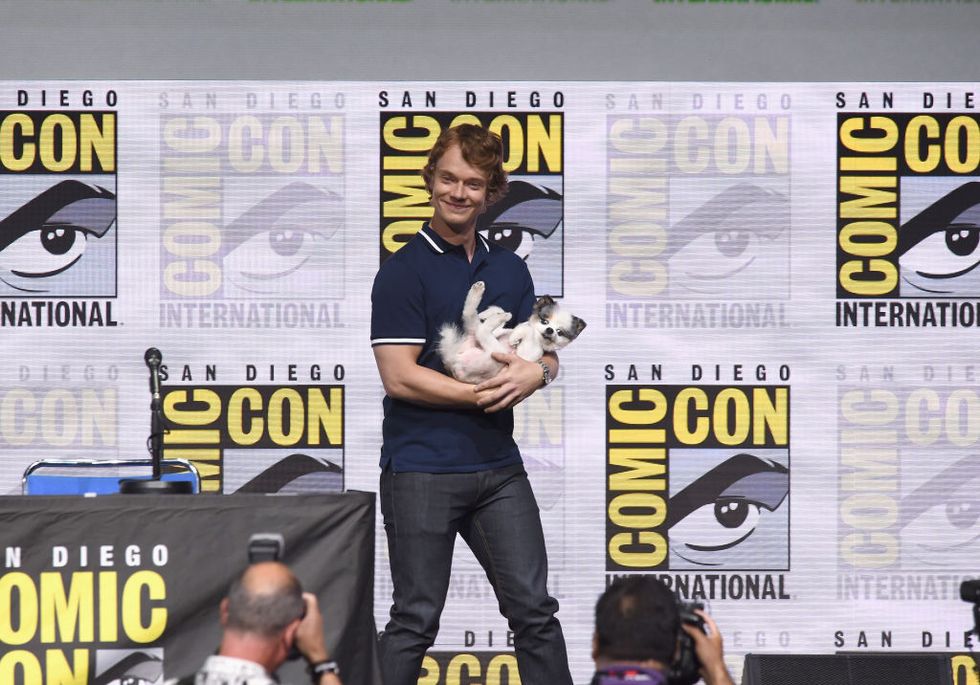 Alfie Allen Comic-Con puppy