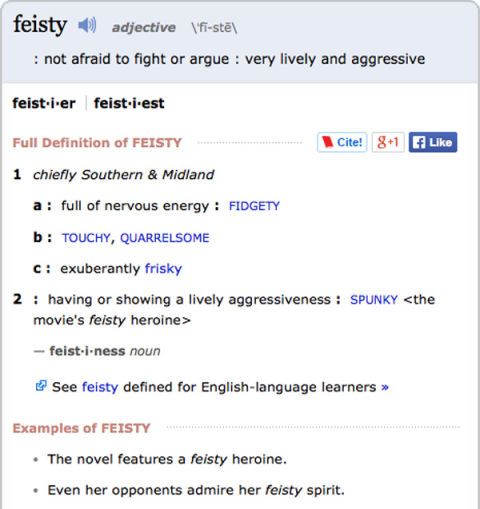 feisty meaning