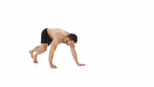 how to perform bear crawl