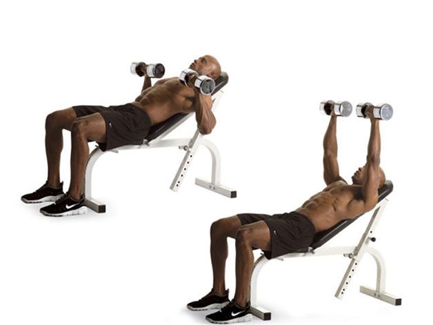 Exercise equipment, Weights, Arm, Bench, Dumbbell, Physical fitness, Leg, Muscle, Chest, Joint, 