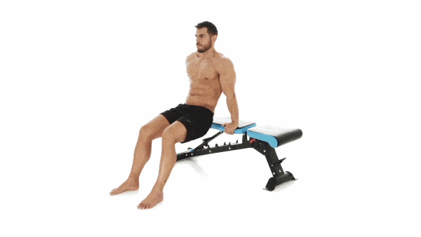 arm, bench, leg, exercise equipment, joint, shoulder, physical fitness, human body, muscle, chest,