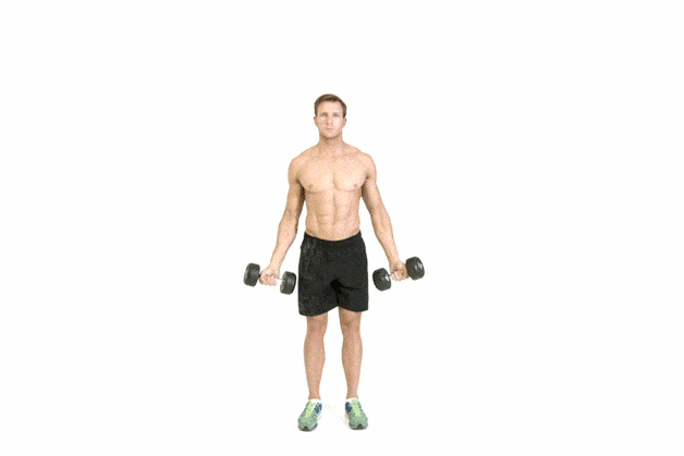 Shoulder, Exercise equipment, Standing, Weights, Arm, Joint, Dumbbell, Human leg, Biceps curl, Leg, 