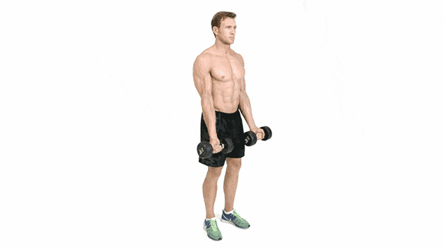 best exercises to build bigger biceps zottman curl  