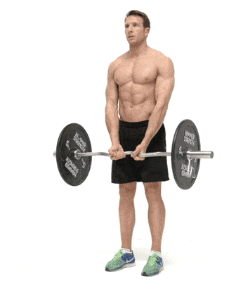 barbell, shoulder, deadlift, exercise equipment, free weight bar, arm, human leg, physical fitness, weightlifting, bodybuilding,