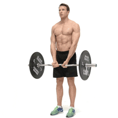 barbell, shoulder, deadlift, exercise equipment, free weight bar, arm, human leg, physical fitness, weightlifting, bodybuilding,