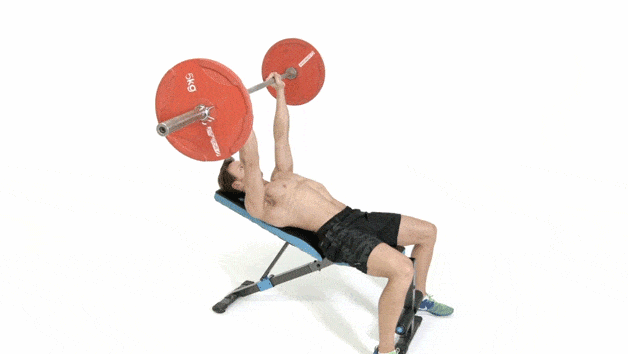 Exercise equipment, Strength training, Arm, Medicine ball, Physical fitness, Ball, Barbell, Free weight bar, Sports equipment, Bench, 