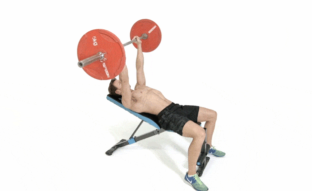 Exercise equipment, Strength training, Arm, Medicine ball, Physical fitness, Ball, Barbell, Free weight bar, Sports equipment, Bench, 