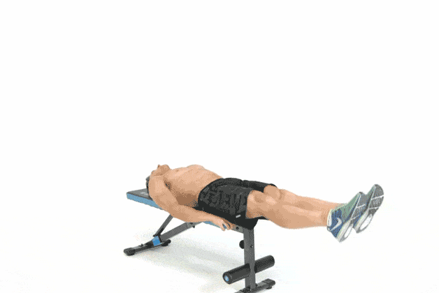 Exercise equipment, Arm, Press up, Leg, Bench, Abdomen, Physical fitness, Trunk, Muscle, Leg extension, 