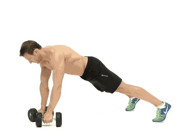 weights, exercise equipment, press up, arm, dumbbell, kettlebell, physical fitness, chest, human leg, leg,