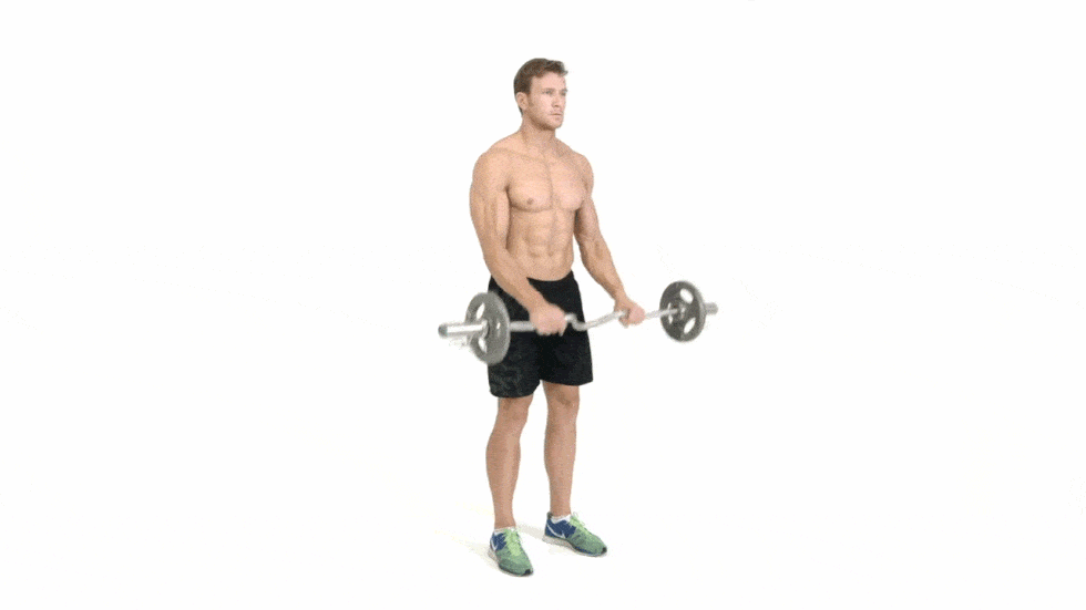 best muscle building bicep exercises