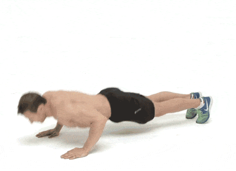 Press up, Arm, Abdomen, Joint, Shoulder, Leg, Trunk, Chest, Physical fitness, Plank, 