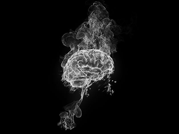 Darkness, Smoke, Bioluminescence, Graphics, Cnidaria, 