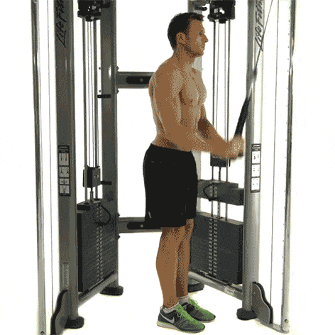 shoulder, weightlifting machine, standing, arm, leg, joint, exercise equipment, knee, human leg, muscle,