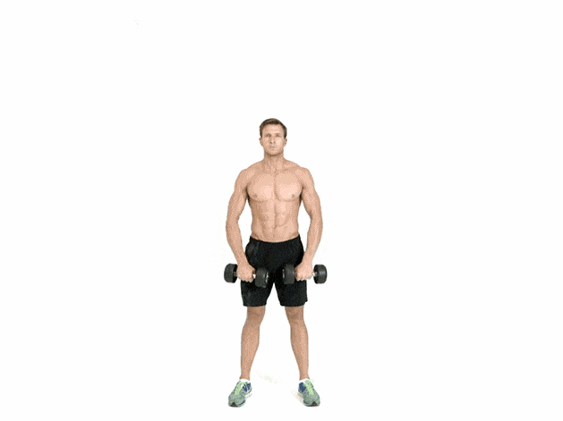 shoulder, exercise equipment, standing, arm, weights, joint, dumbbell, leg, human leg, chest,
